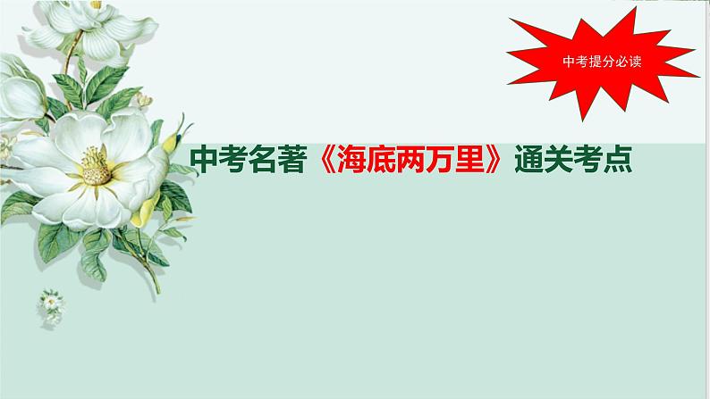中考语文 名著《海底两万里》通关考点 课件(1)第1页