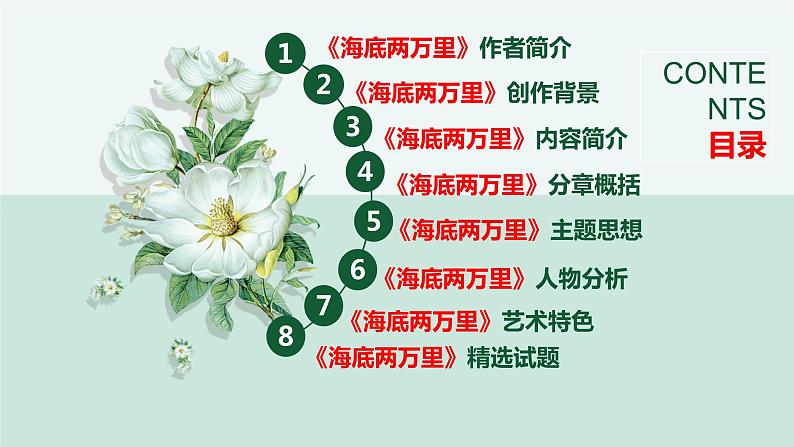 中考语文 名著《海底两万里》通关考点 课件(1)第2页