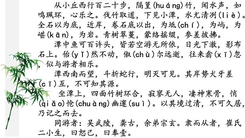 《小石潭记》课件第4页