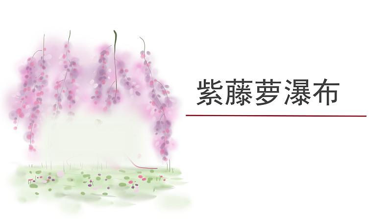 《紫藤萝瀑布》课件02