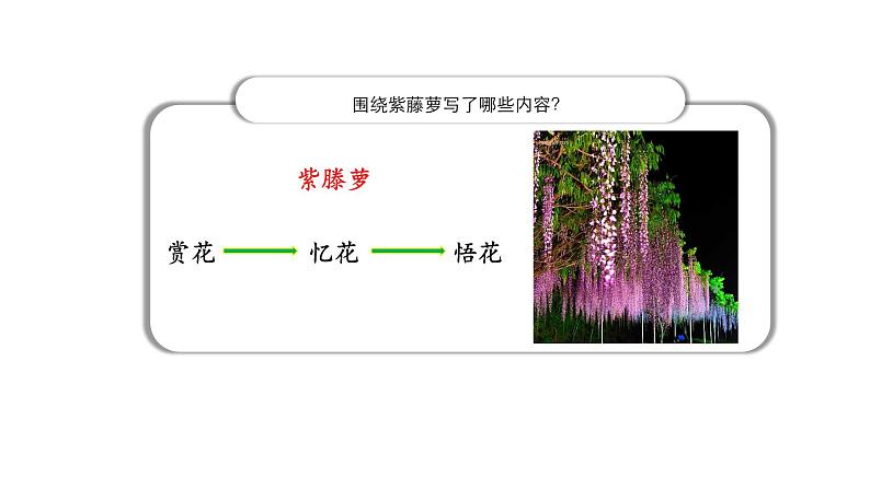 《紫藤萝瀑布》课件05