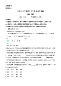 2022年山东省东营市中考语文真题（解析版）