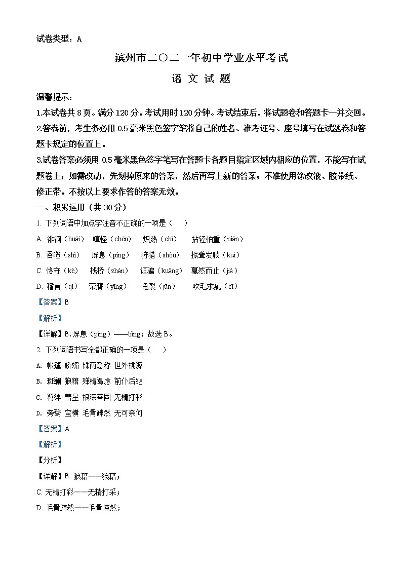 山东省滨州市2021年中考语文试题（解析版）01