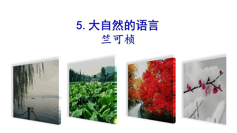 2022-2023 部编版语文八年级下册 第5课  大自然的语言 课件第1页