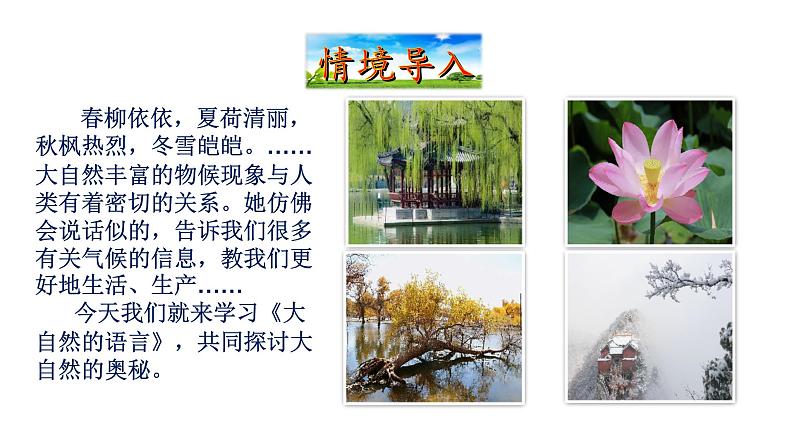 2022-2023 部编版语文八年级下册 第5课  大自然的语言 课件第2页