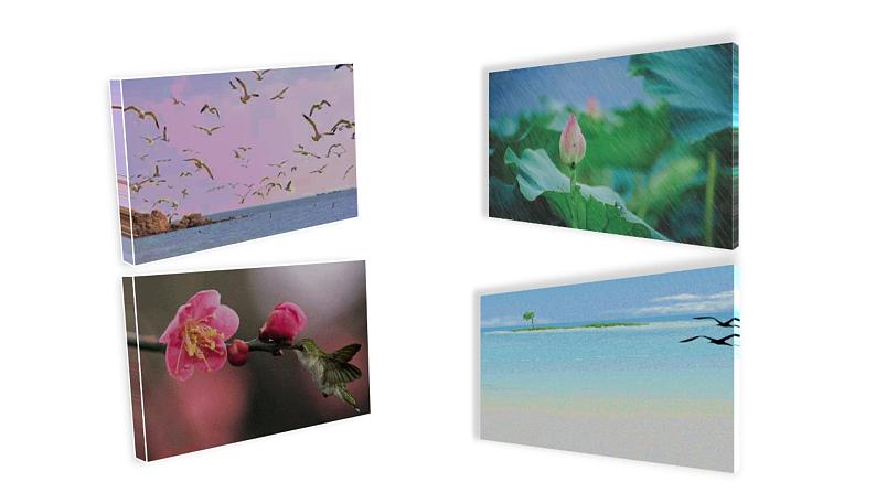 2022-2023 部编版语文八年级下册 第5课  大自然的语言 课件第3页