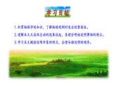 2022-2023 部编版语文八年级下册 第5课  大自然的语言 课件
