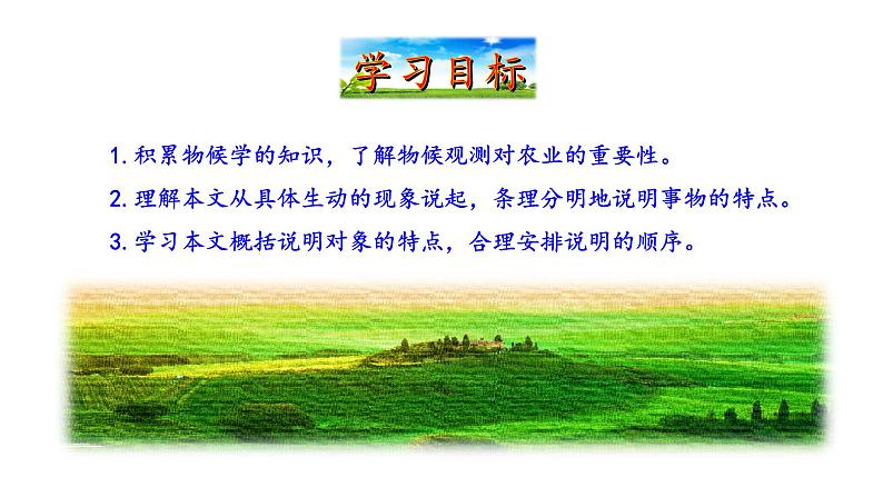 2022-2023 部编版语文八年级下册 第5课  大自然的语言 课件第4页