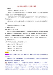山东省济宁市2019年中考语文真题试题（含解析）