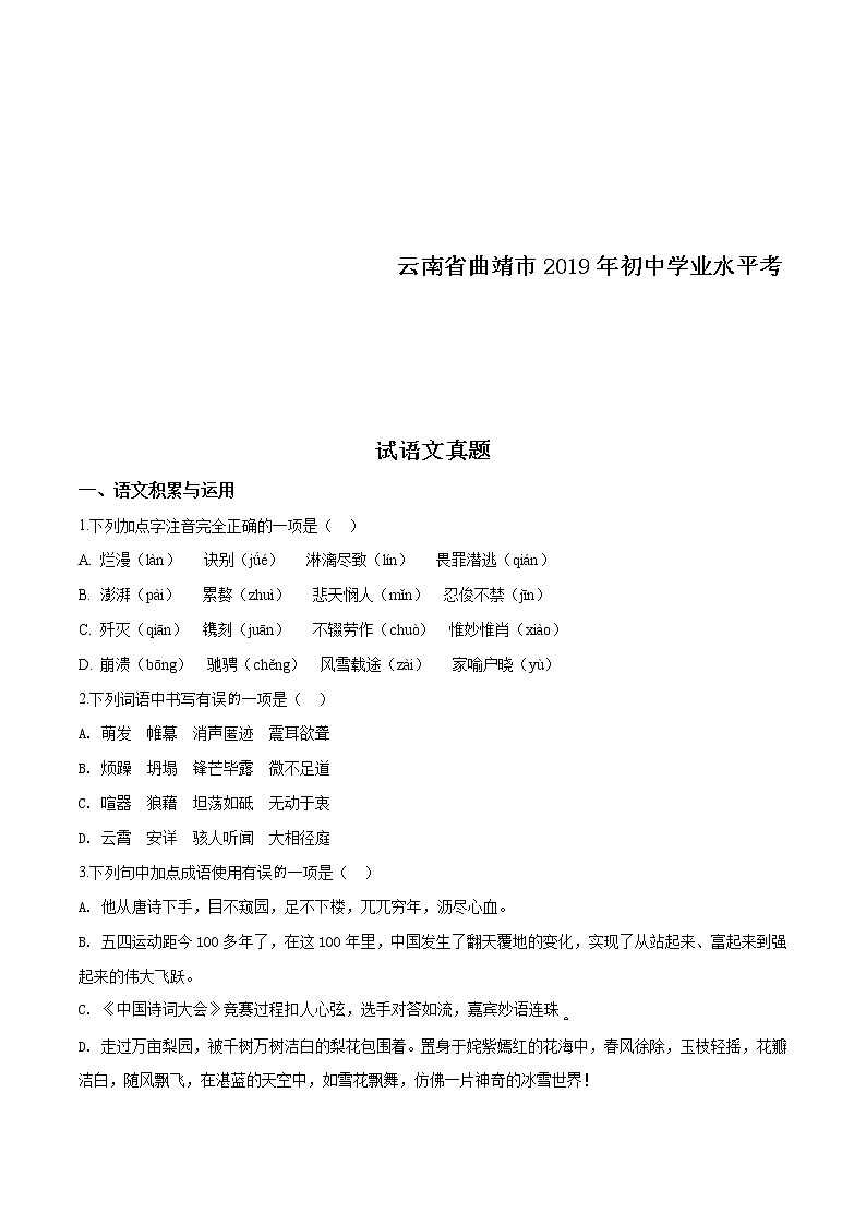云南省曲靖市2019年中考语文试题（原卷版）第1页