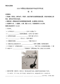 内蒙古鄂尔多斯2020年中考语文试题（原卷版）