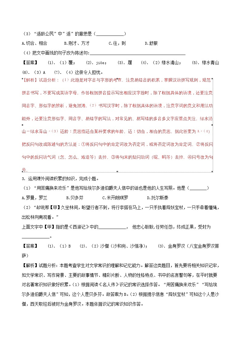 安徽省2018年中考语文真题试题（含解析）第2页