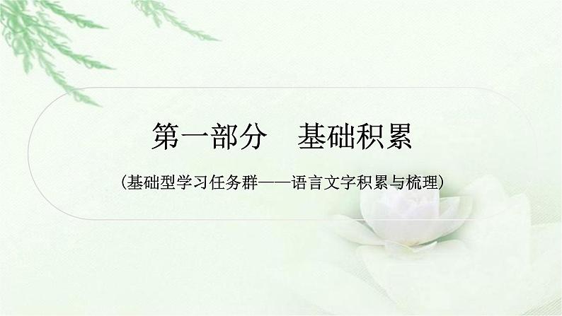 中考语文复习专题一字音、字形作业课件第1页