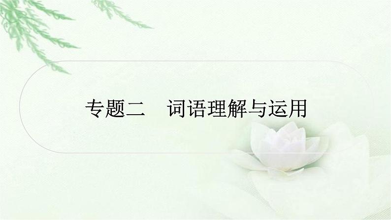 中考语文复习专题二词语理解与运用作业课件第1页