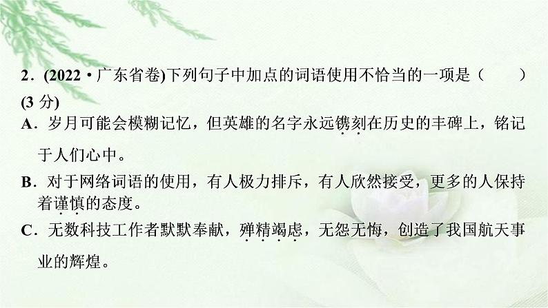 中考语文复习专题二词语理解与运用作业课件第4页
