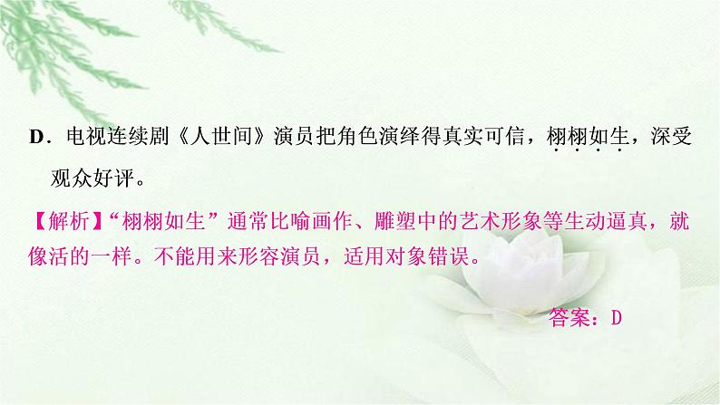 中考语文复习专题二词语理解与运用作业课件第5页