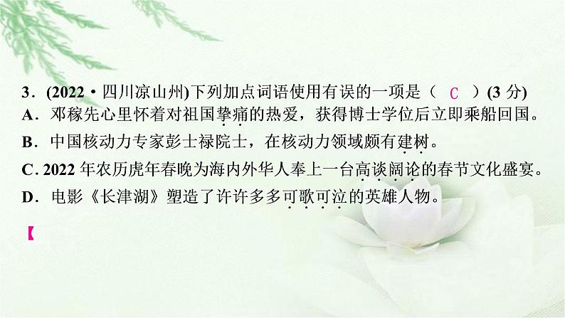 中考语文复习专题二词语理解与运用作业课件第6页