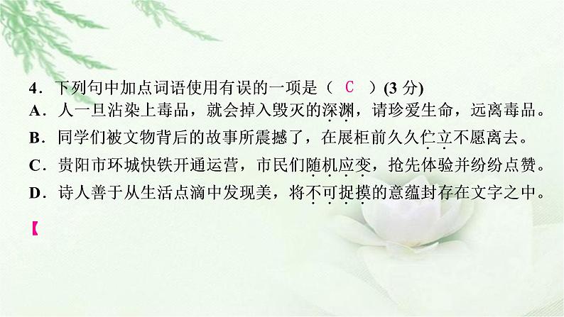 中考语文复习专题二词语理解与运用作业课件第7页