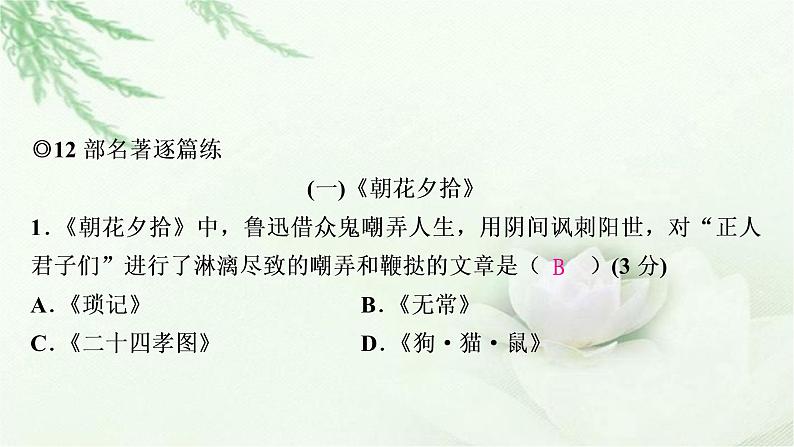 中考语文复习专题五名著阅读作业课件第3页