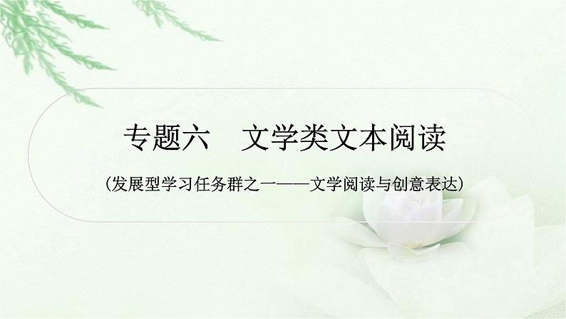中考语文复习专题六文学类文本阅读作业课件01