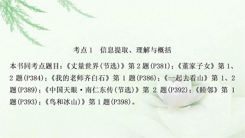 中考语文复习专题六文学类文本阅读作业课件02