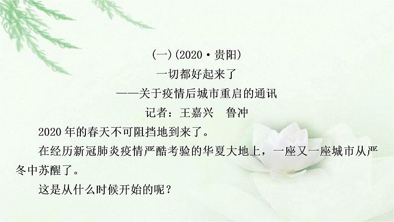 中考语文复习专题六文学类文本阅读作业课件03