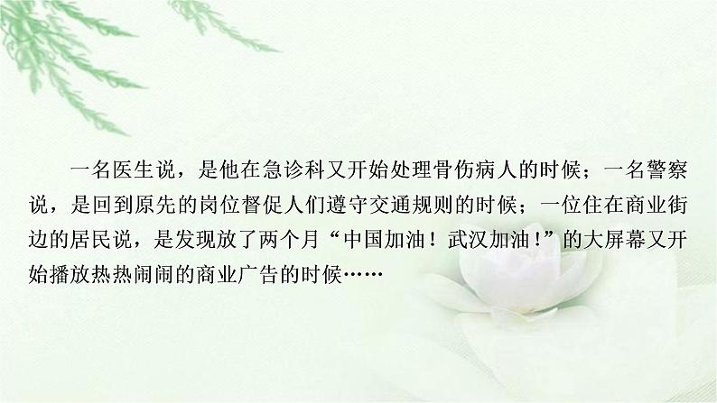 中考语文复习专题六文学类文本阅读作业课件04
