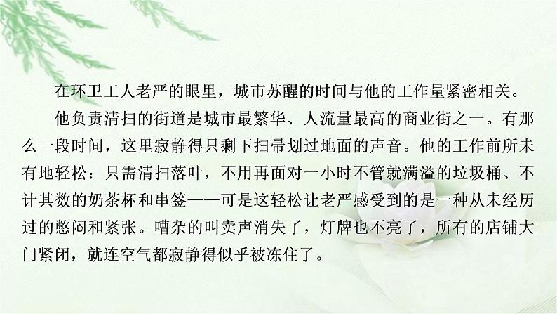 中考语文复习专题六文学类文本阅读作业课件05
