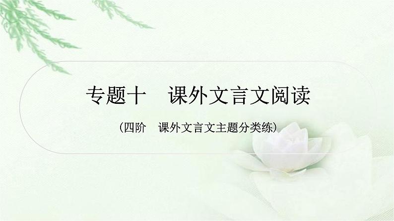 中考语文复习专题十课外文言文阅读作业课件01