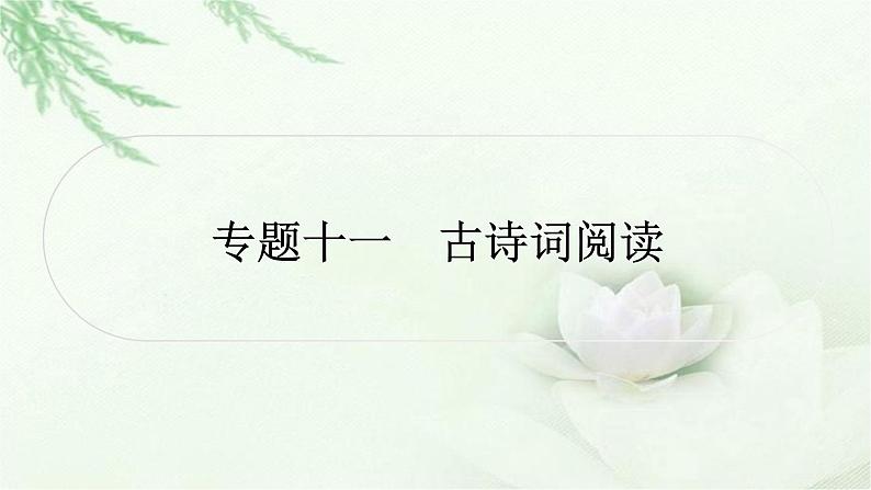 中考语文复习专题十一古诗词阅读作业课件第1页