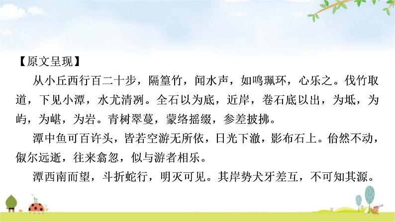 中考语文复习课内文言文基础储备练12小石潭记课件02