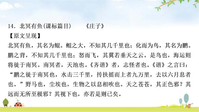 中考语文复习课内文言文基础储备练14北冥有鱼课件第2页