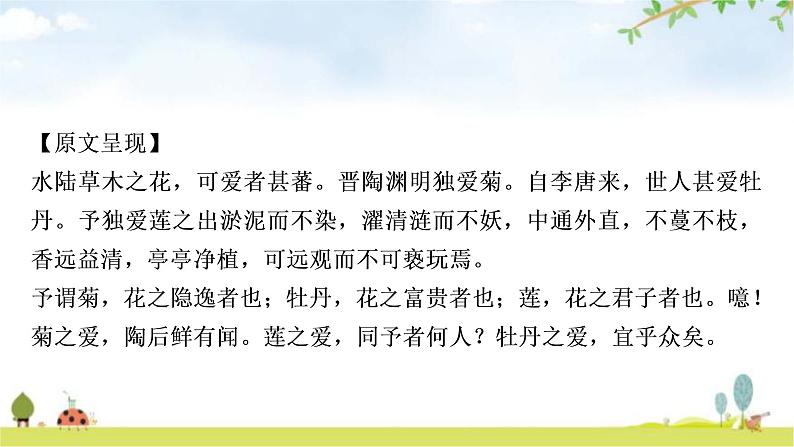 中考语文复习课内文言文基础储备练31爱莲说课件02