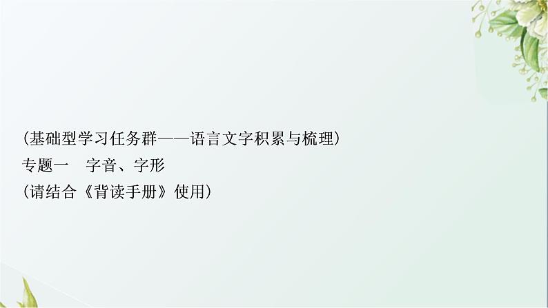 中考语文复习基础积累专题一字音、字形教学课件第2页