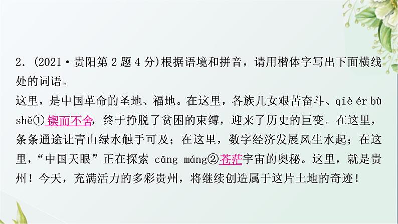 中考语文复习基础积累专题一字音、字形教学课件第5页