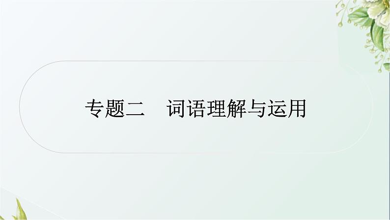 中考语文复习基础积累专题二词语理解与运用教学课件第1页