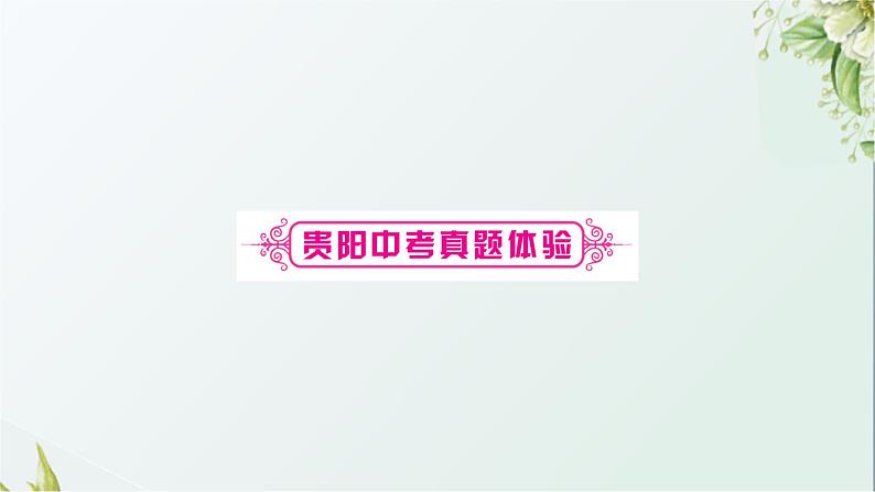中考语文复习基础积累专题二词语理解与运用教学课件第3页