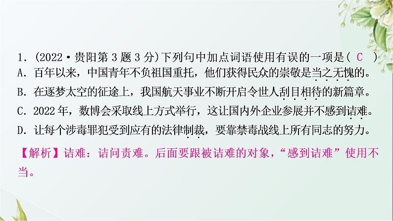 中考语文复习基础积累专题二词语理解与运用教学课件第4页