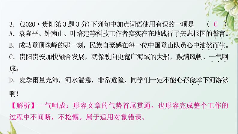 中考语文复习基础积累专题二词语理解与运用教学课件第6页