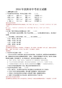 2016年沈阳市中考语文试题解析版