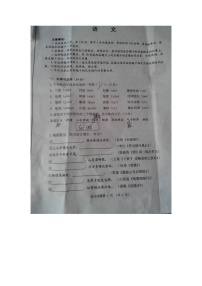 2015年威海市中考语文试卷及答案