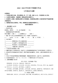 湖北省公安县2022-2023学年七年级下学期期中语文试题(含答案)