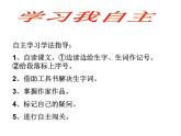 第11课《老王》课件2022-2023学年部编版语文七年级下册