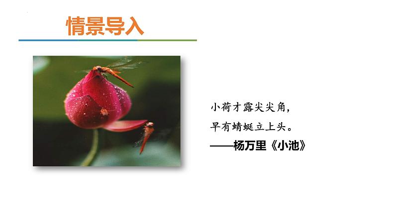 第17课《+爱莲说》课件2022-2023学年部编版语文七年级下册04