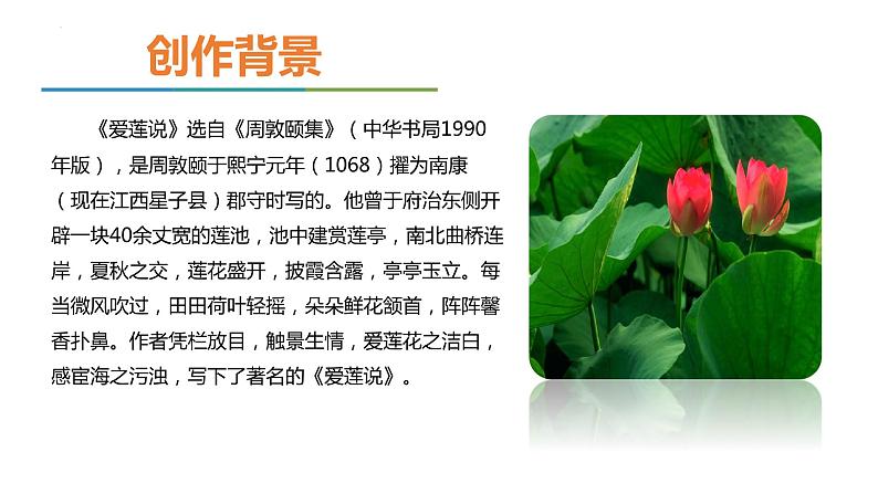 第17课《+爱莲说》课件2022-2023学年部编版语文七年级下册07