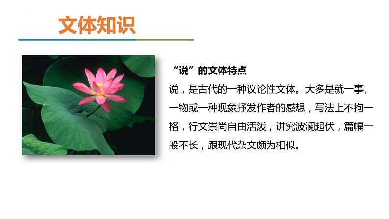 第17课《+爱莲说》课件2022-2023学年部编版语文七年级下册08