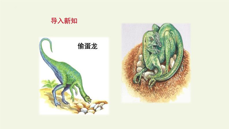 第6课《恐龙无处不有》课件2022-2023学年部编版语文八年级下册04