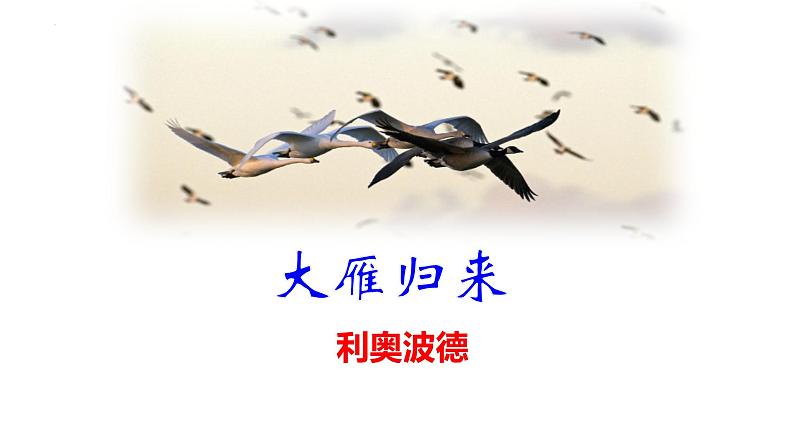 第7课《大雁归来》课件2022-2023学年部编版语文八年级下册第3页