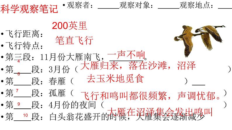 第7课《大雁归来》课件2022-2023学年部编版语文八年级下册第7页