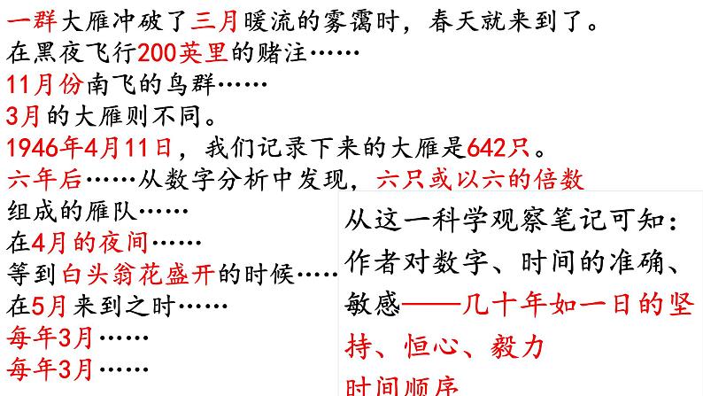 第7课《大雁归来》课件2022-2023学年部编版语文八年级下册第8页